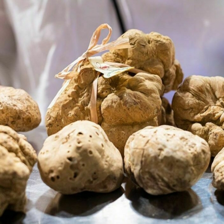 tartufo istriano